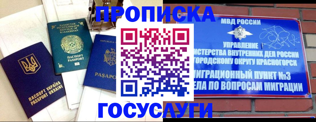купить прописку в Новосибирской области